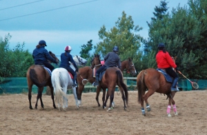 The equestrian equivilent of a rugby scrum!